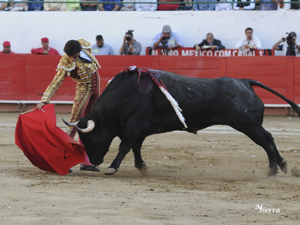 Estir�ndose en un redondo