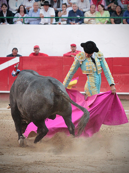 M�s variedad con el capote