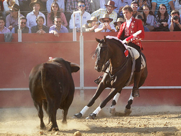 Provocando la embestida