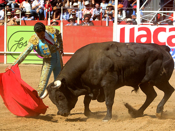 Gerardo S�nchez despach� al toro