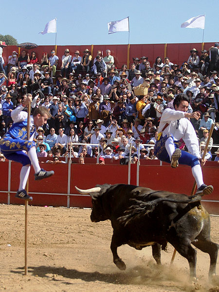 Recortadores Goyescos