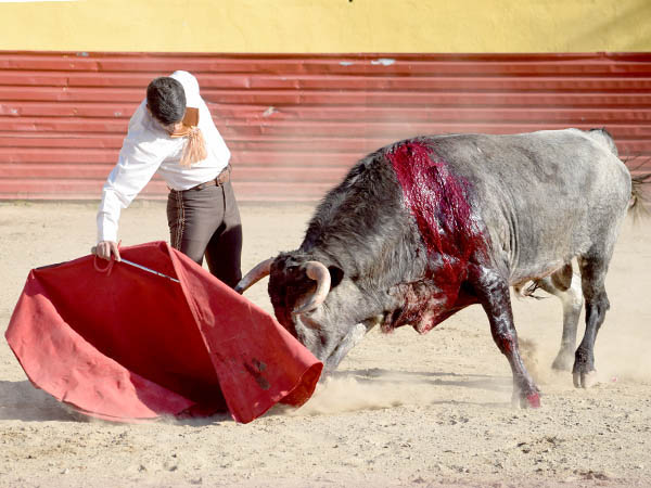 Pr�logo por el derecho