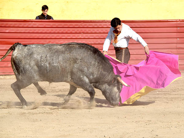 Desmayando los brazos
