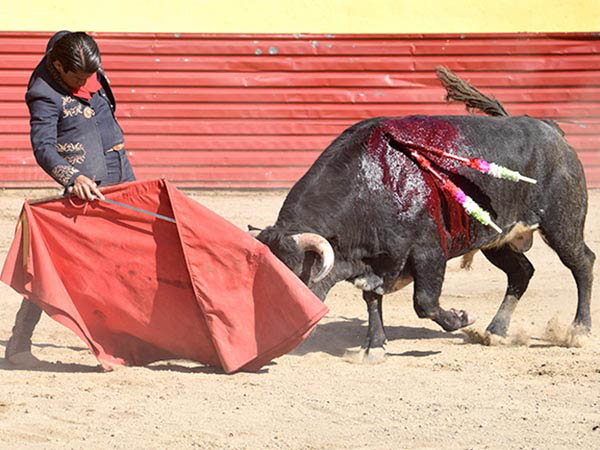 Tirando del ejemplar