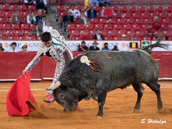 Templando al de Barralva