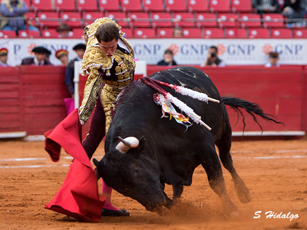 Detalles sueltos del hidroc�lido