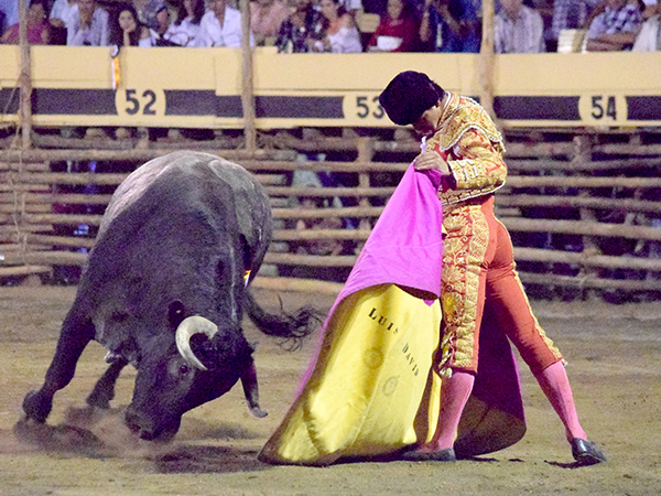 Llev�ndolo toreado