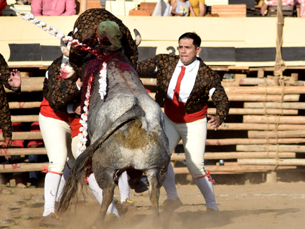 Espectaculares mazatlecos
