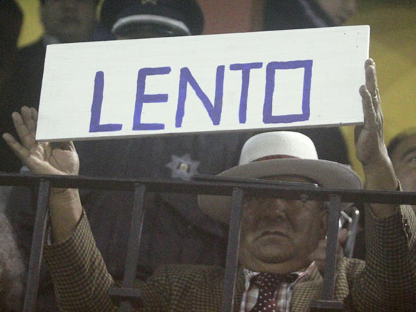 Un toro bravo con calidad