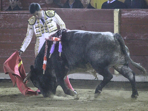 Verticalidad y reposo