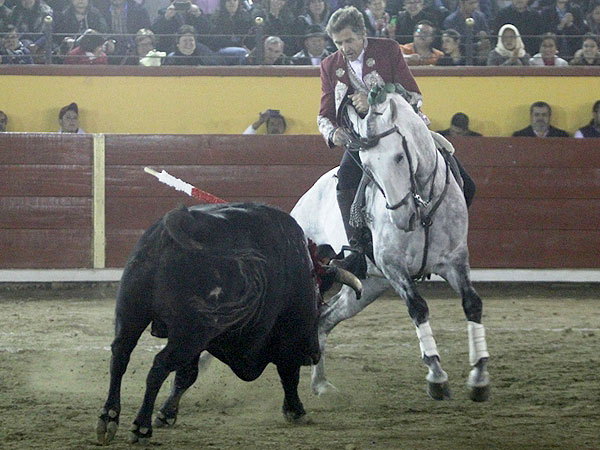 Caballo torero