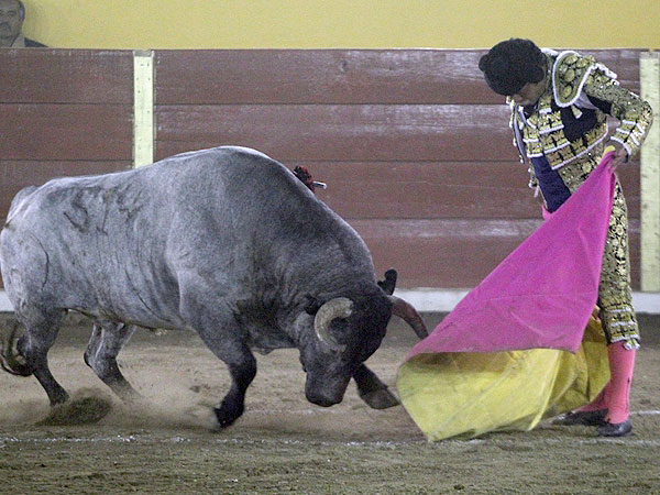 Jos� Luis Angelino en artista