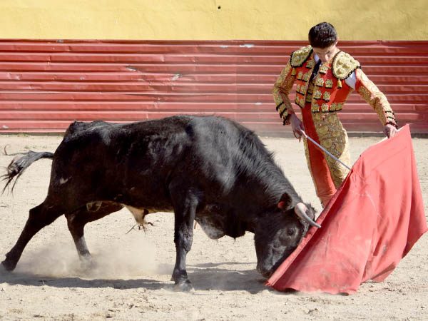Reposo en los ayudados