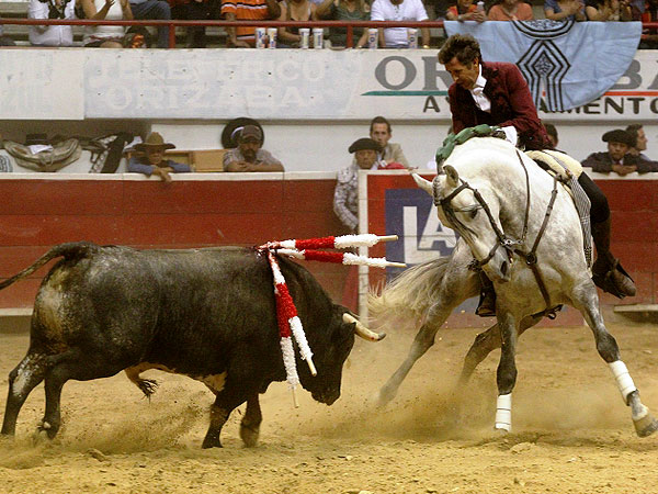 Impresionante plasticidad