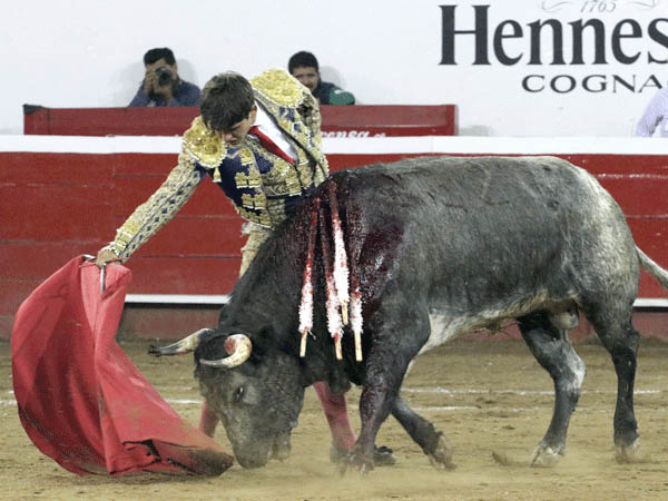 Determinaci�n y mando