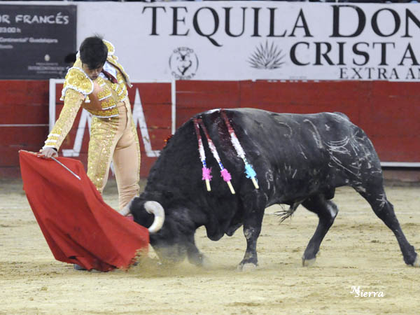 Solvencia y torer�a