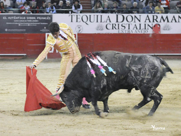 Inteligencia, toreo y buen gusto