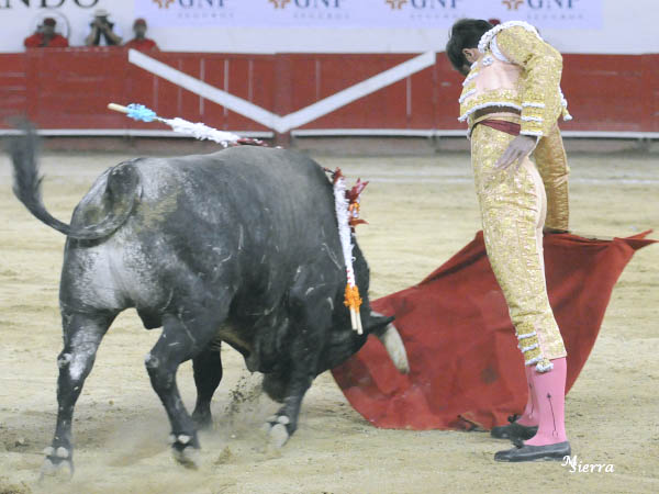 No hay toro que se le resista