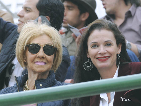 Barreras engalanadas