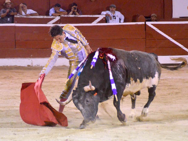 Meti� en vereda al berrendo