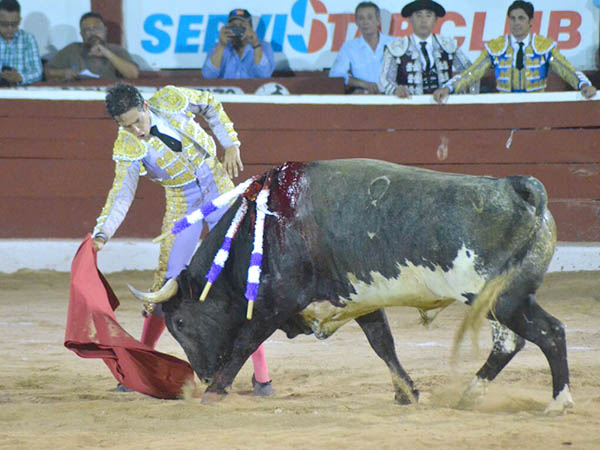 Asimil� la t�cnica