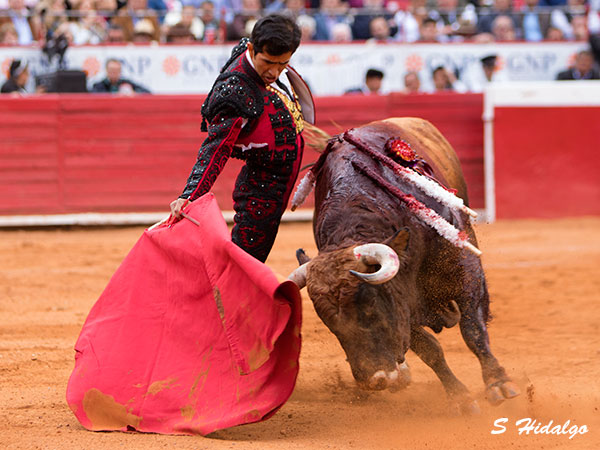 Joselito Adame, esforzado