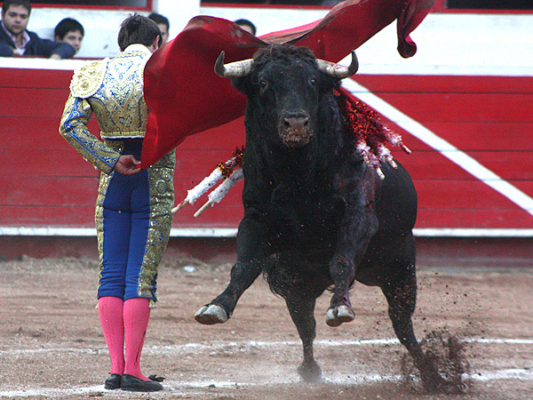 Espectacular manoletina