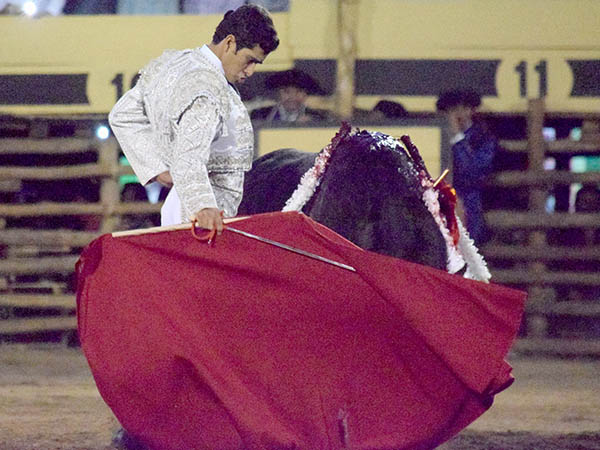 De terciopelo planchado