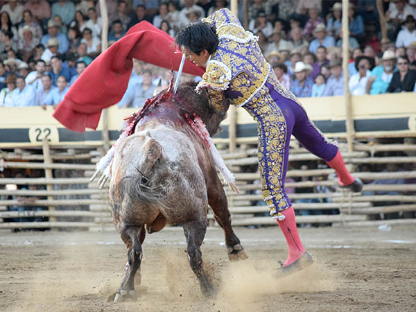 De salida en la suerte