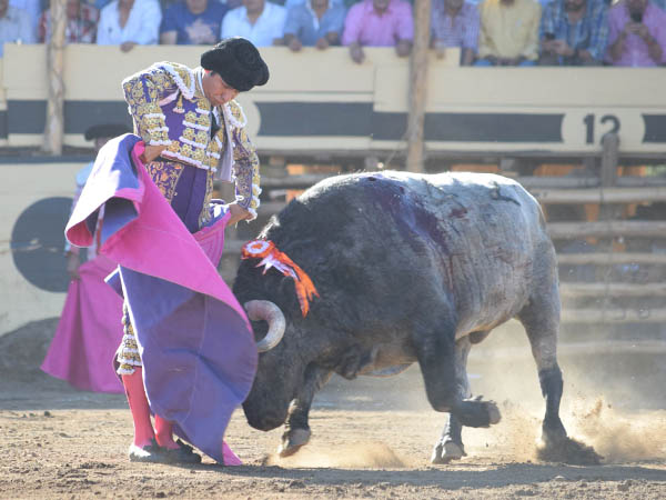 Lances en azul y rosa