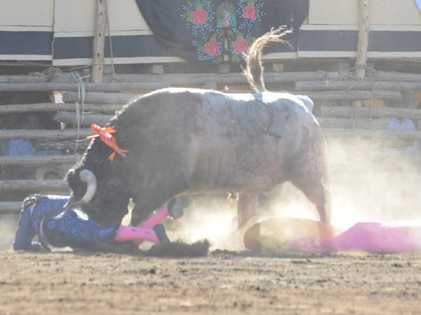 A merced del ejemplar