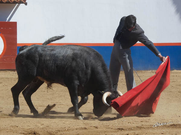 Jornada campera en San Constantino