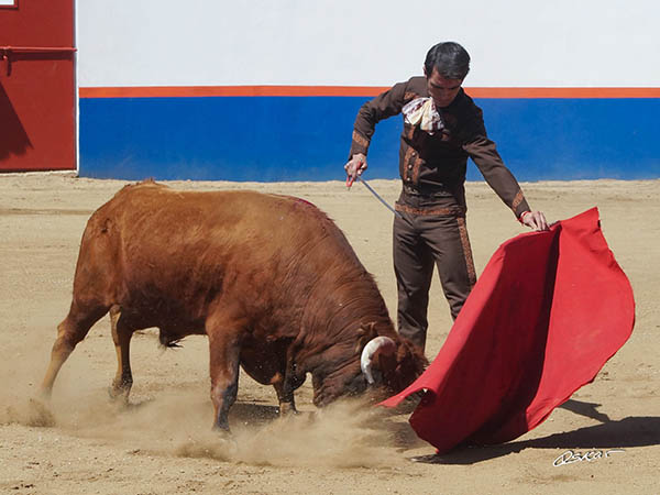 El izquierdo del colorado