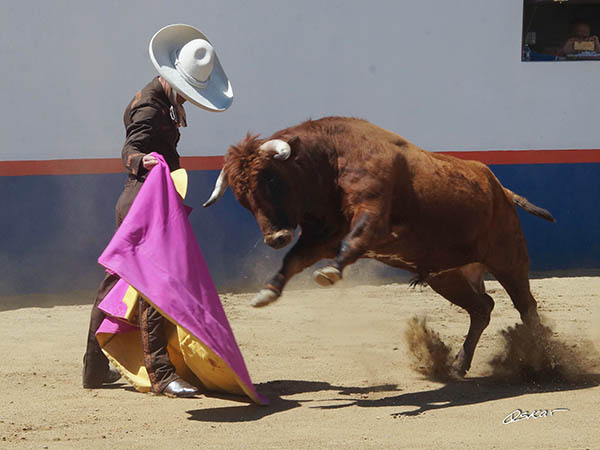 Parones con el percal