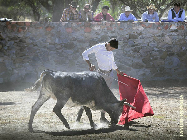 Intensa jornada en Rosas Viejas
