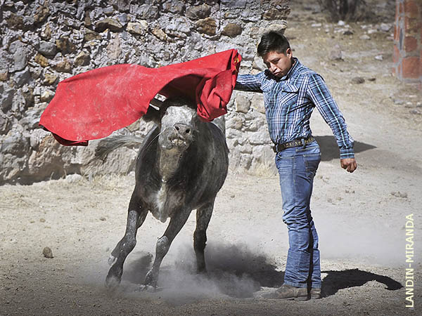 Tambi�n Guerrero ech� la capa