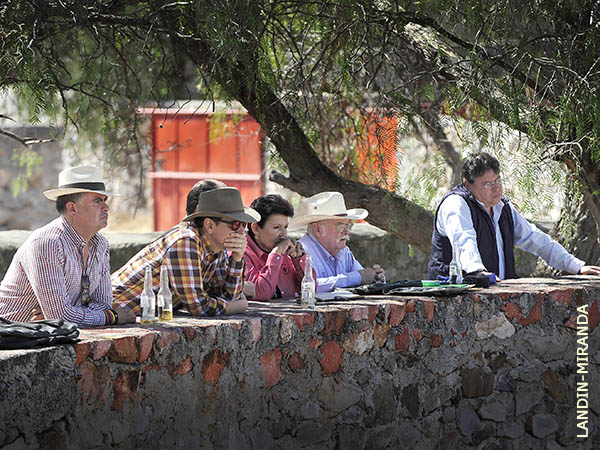 M�xima atenci�n a esa vaquilla