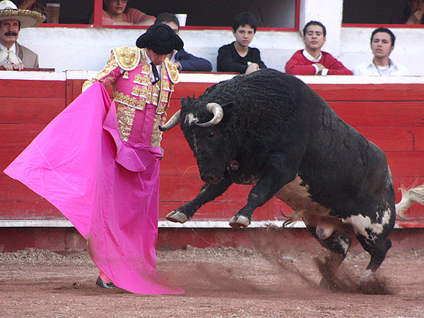 Fren�ndose en el capote