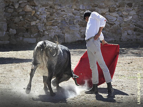 Mostr� calidad desde el inicio