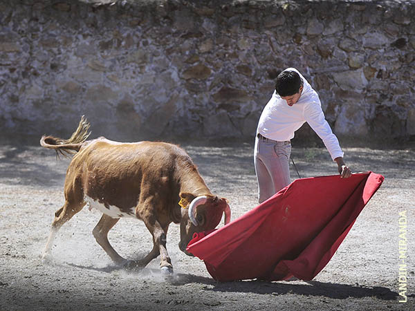 Probando una colorada