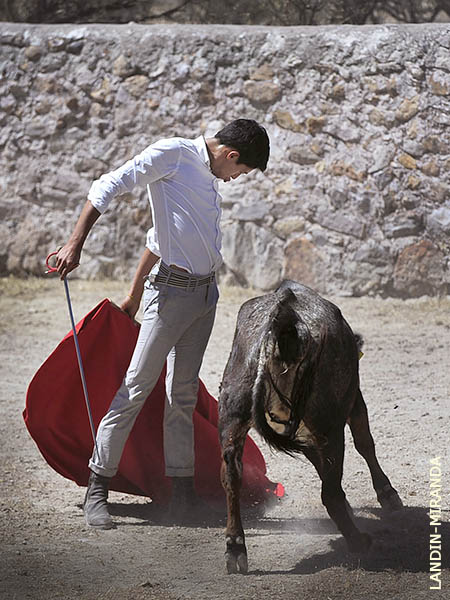 Desmayando el enga�o