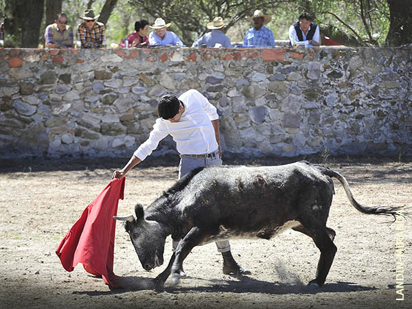Relajado en la faena