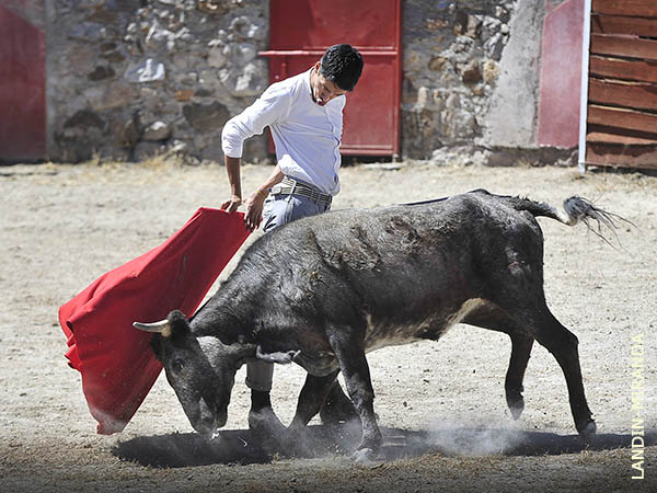 Soberbio cambio e mano