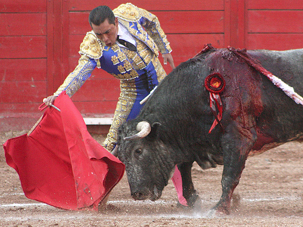 Extendiendo el brazo