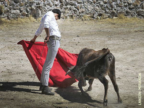 Llev�ndola toreada