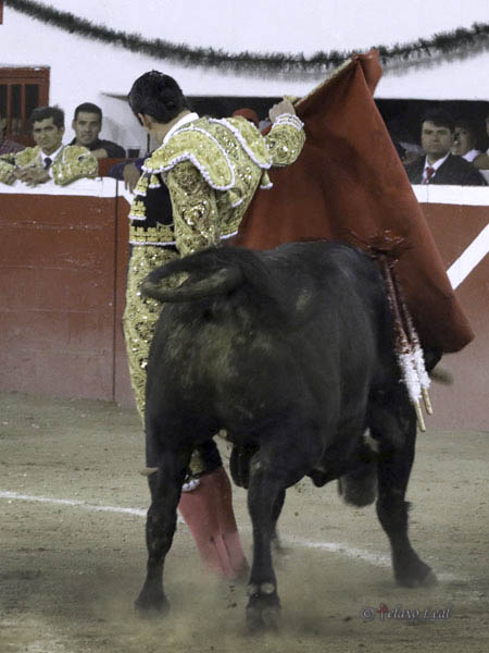 Ce�id�simo en el colof�n