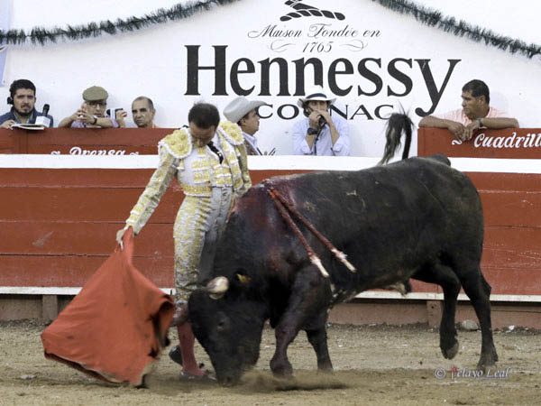 Le permiti� alg�n lucimiento