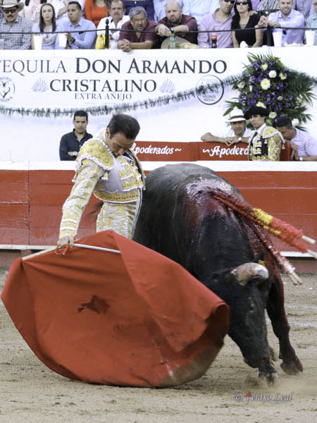 Se empe�� en sacarle lustre