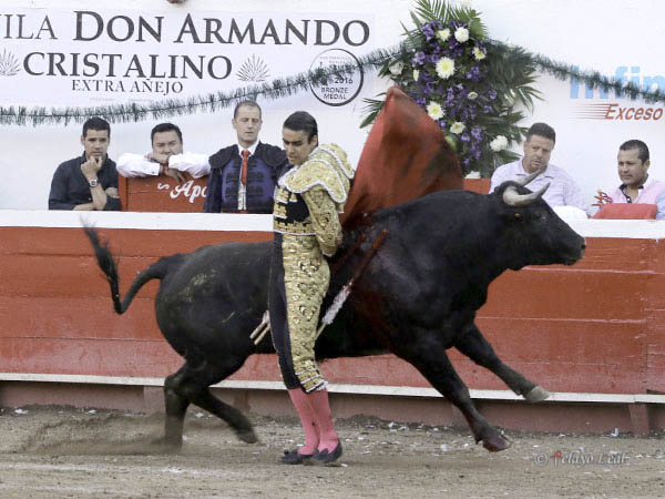 Las manoletinas de Ricardo