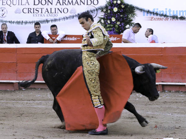 Variedad y repertorio